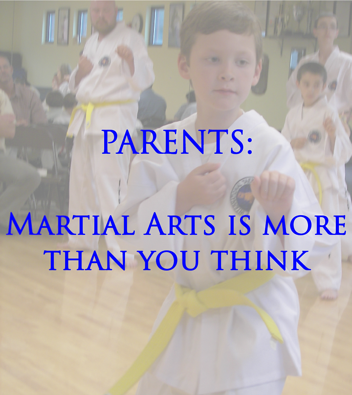 Parents Martial Arts is More Than You Think Championship Martial Arts