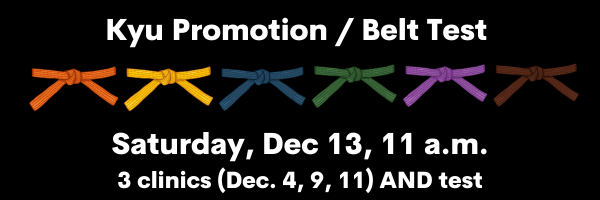 color belt test banner